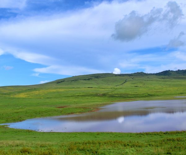 ngorongoro-5205384_1280